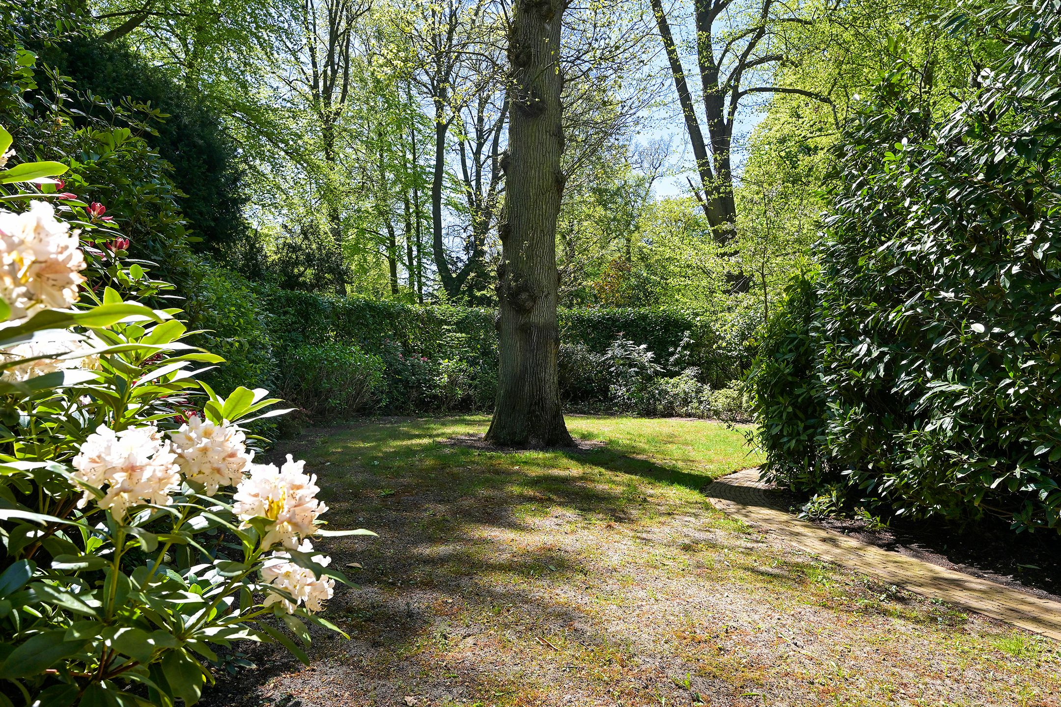Photo 39 of Raadhuislaan 10