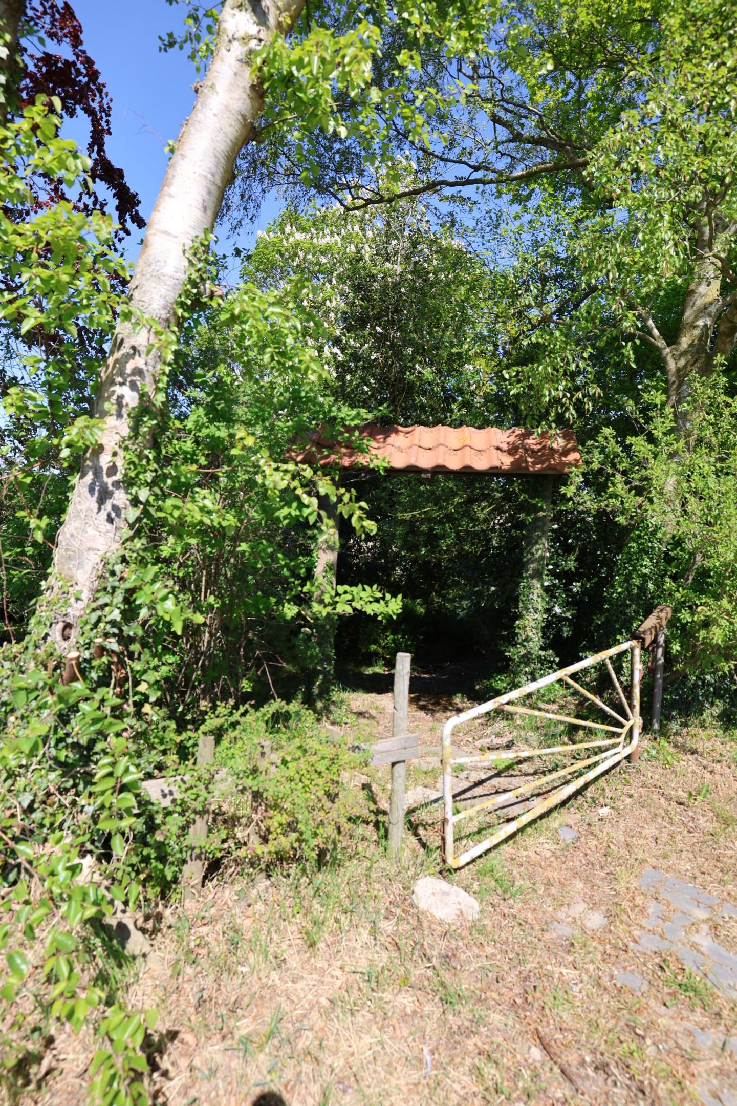 Photo 35 of Oude Heijdijk 83