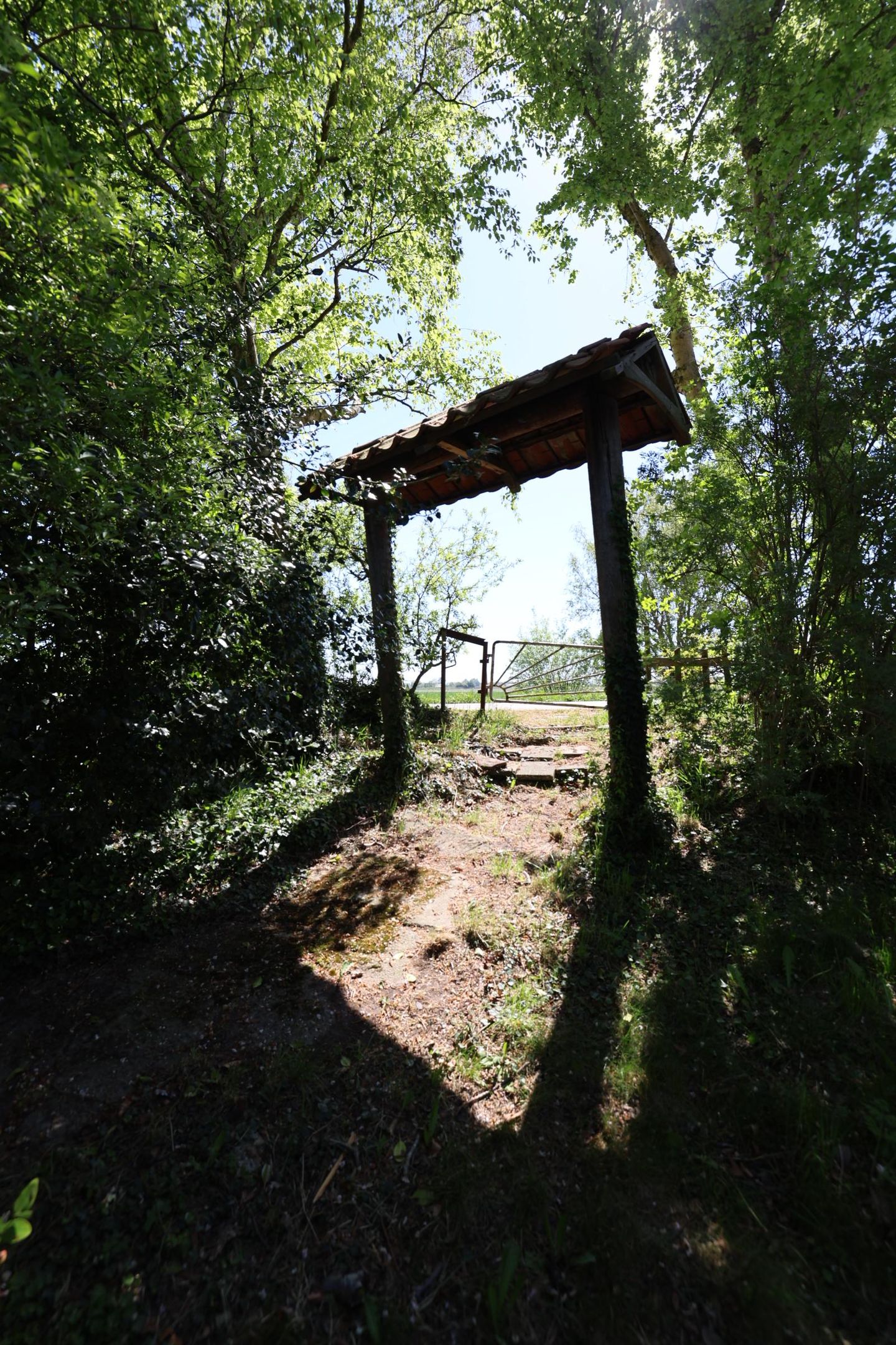 Photo 34 of Oude Heijdijk 83