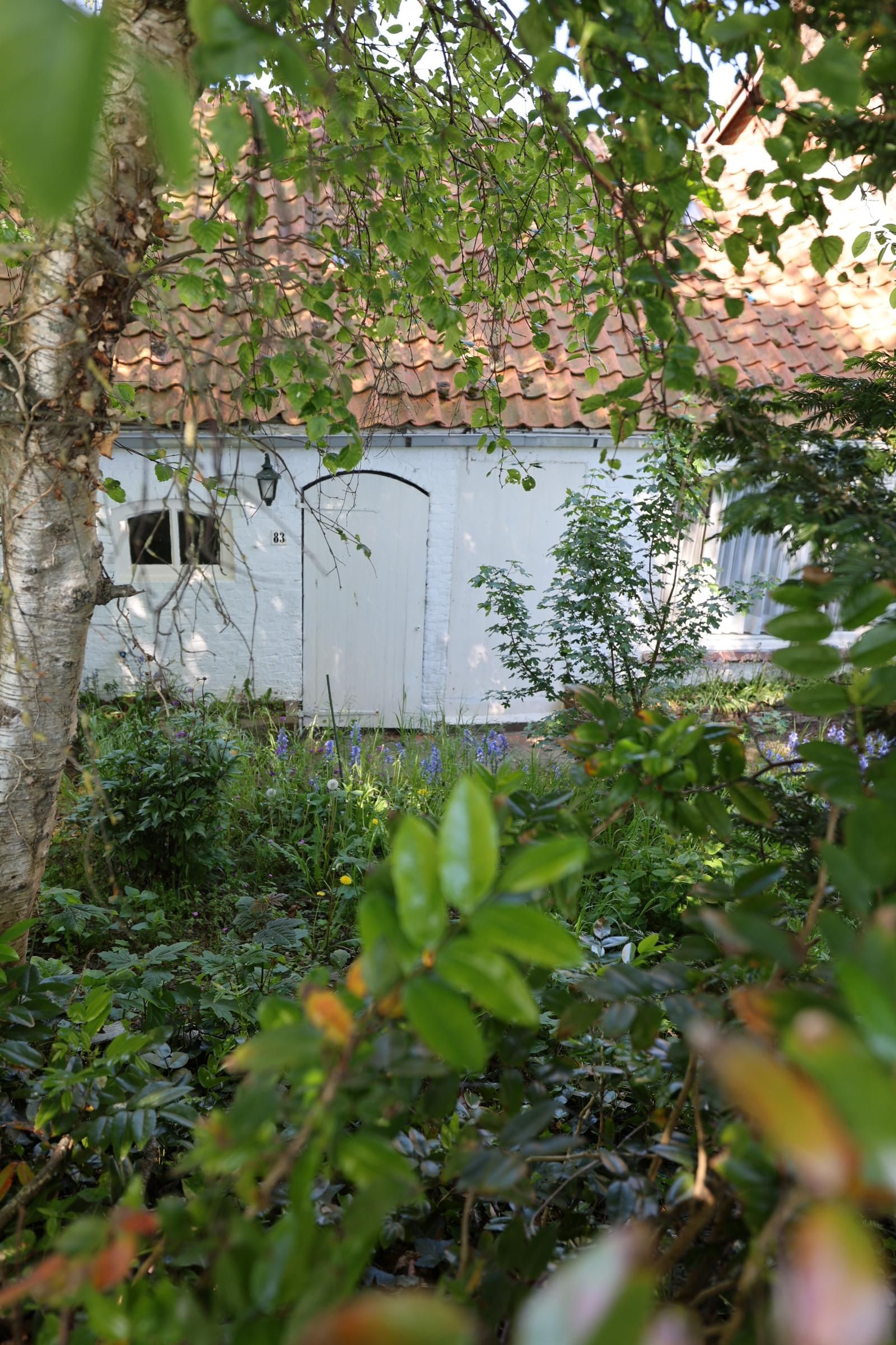 Photo 6 of Oude Heijdijk 83