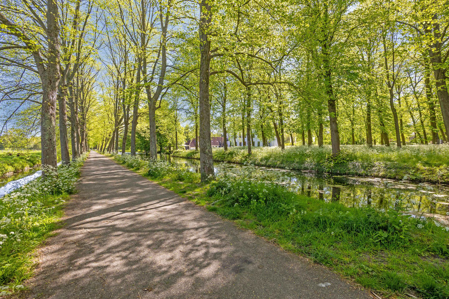Foto 49 van Molendijk 37