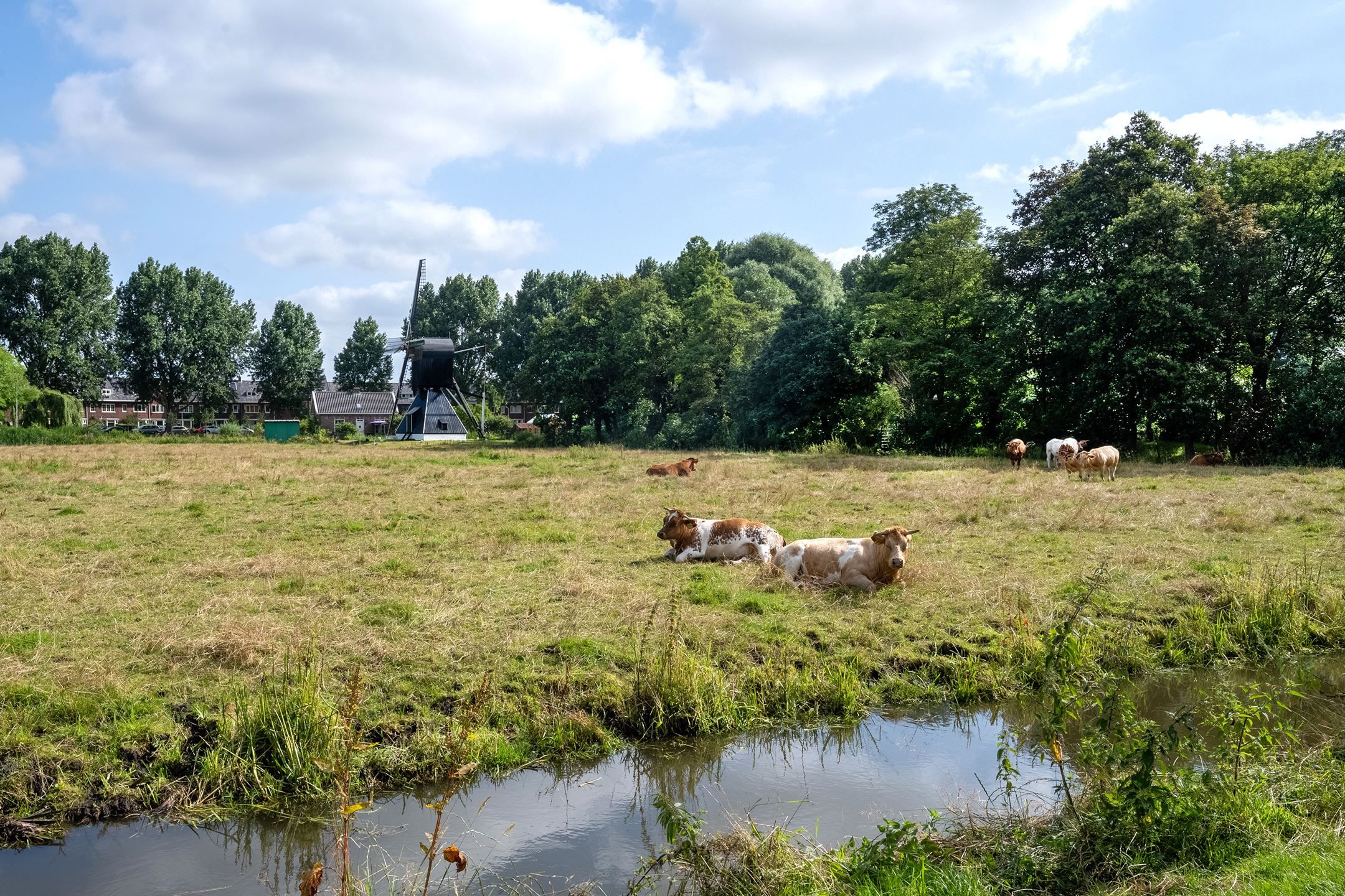 Photo 36 of Verspronckweg 158