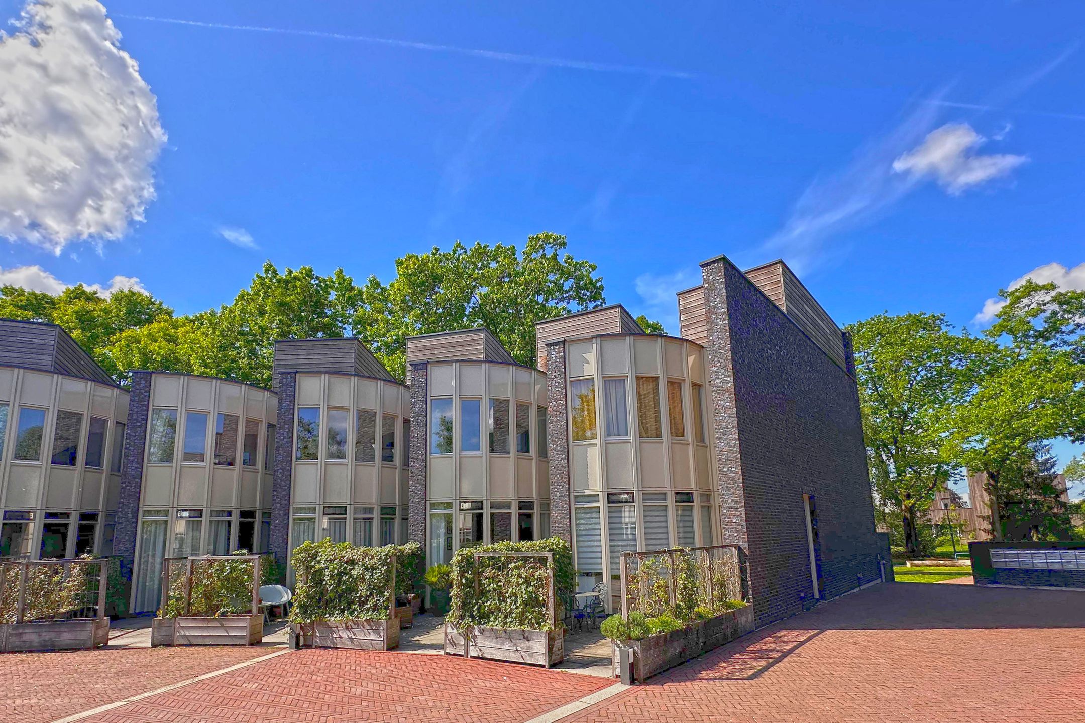 Bosleeuwerik 50 