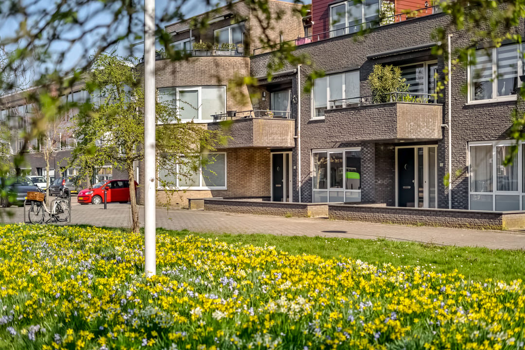 Photo 1 of Zwaard 12