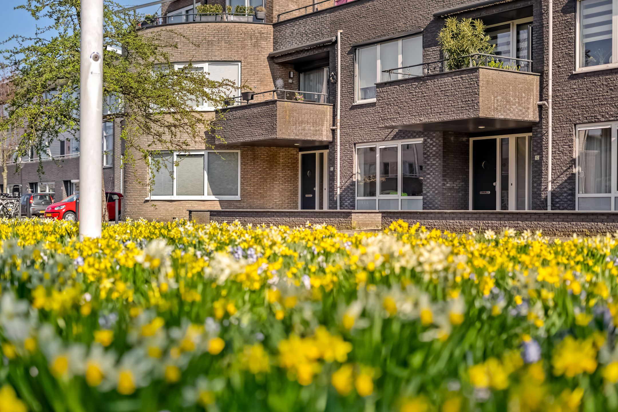 Photo 27 of Zwaard 12