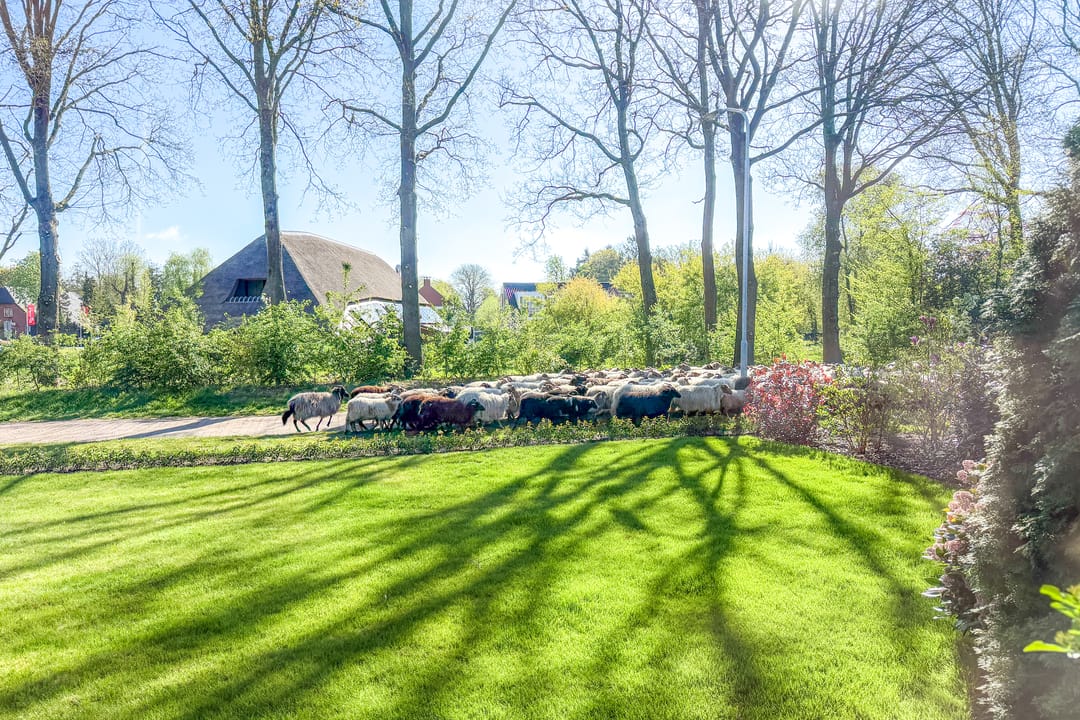 Foto 2 van Hofakkersweg 2