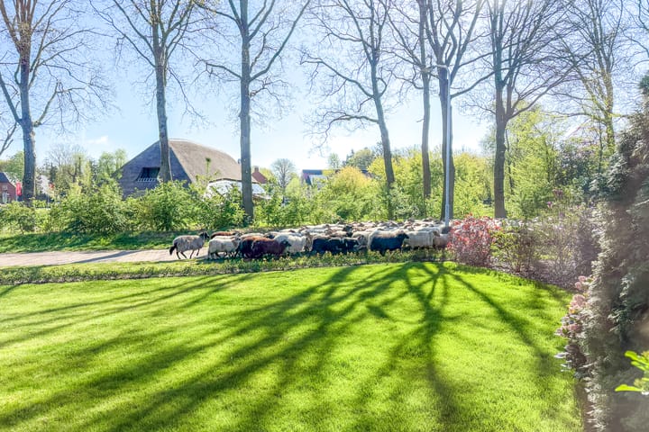 Foto 2 van Hofakkersweg 2