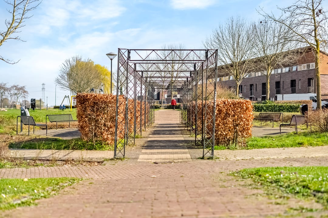 Photo 28 of Zwaard 12