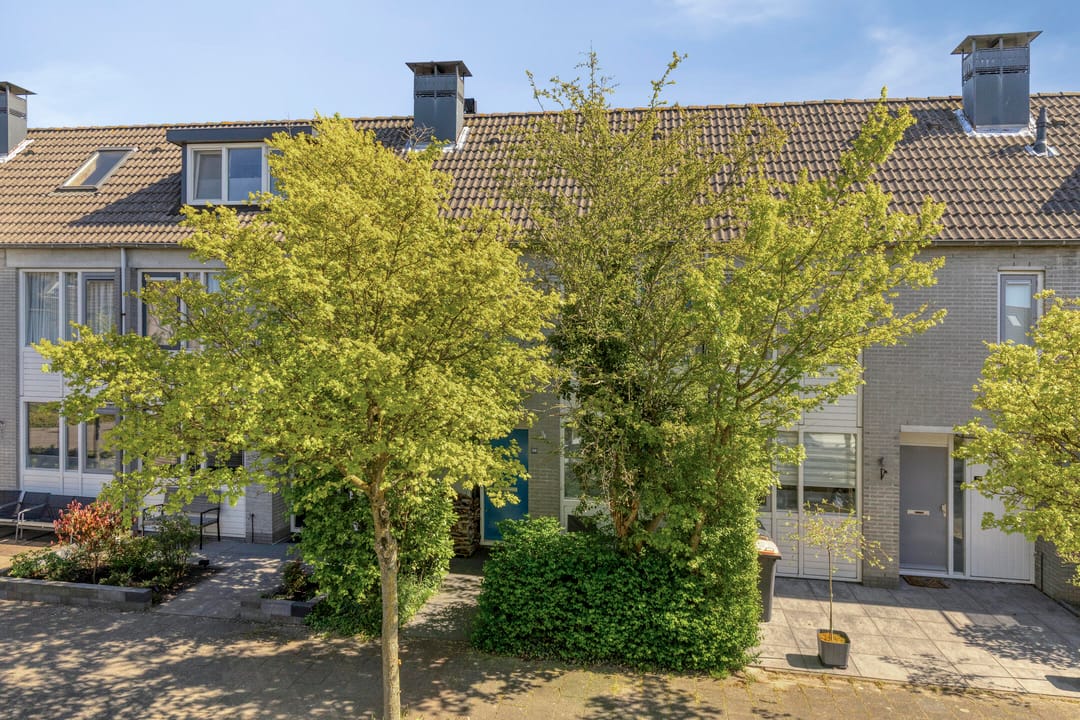 Foto 1 van De Dadelboom 69
