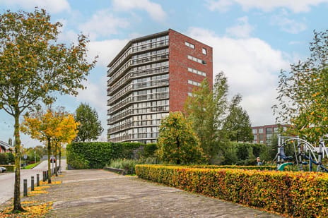 Binckesstraat thumbnail