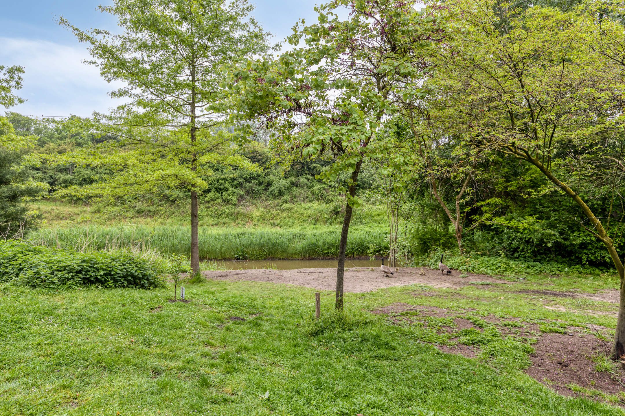 Extended 1930s Family Home in Prime Den Bosch Location — 42