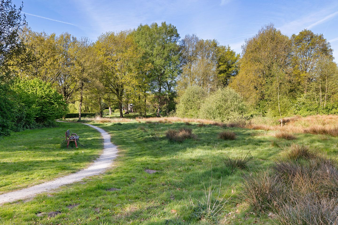 Foto 40 van Dingspil 41