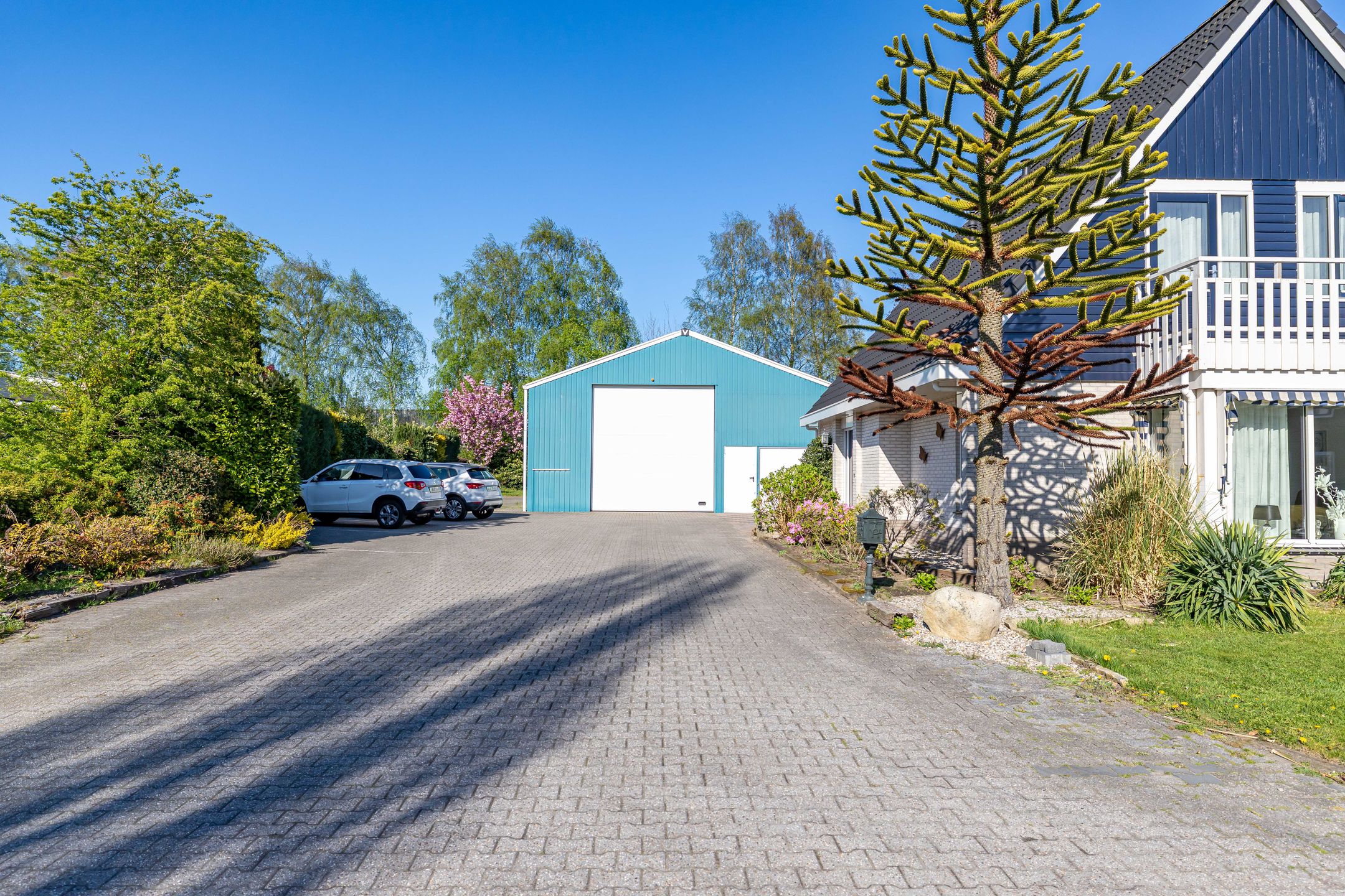 Photo 42 of Vlaskamp 4