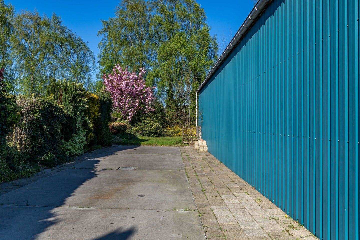 Photo 50 of Vlaskamp 4