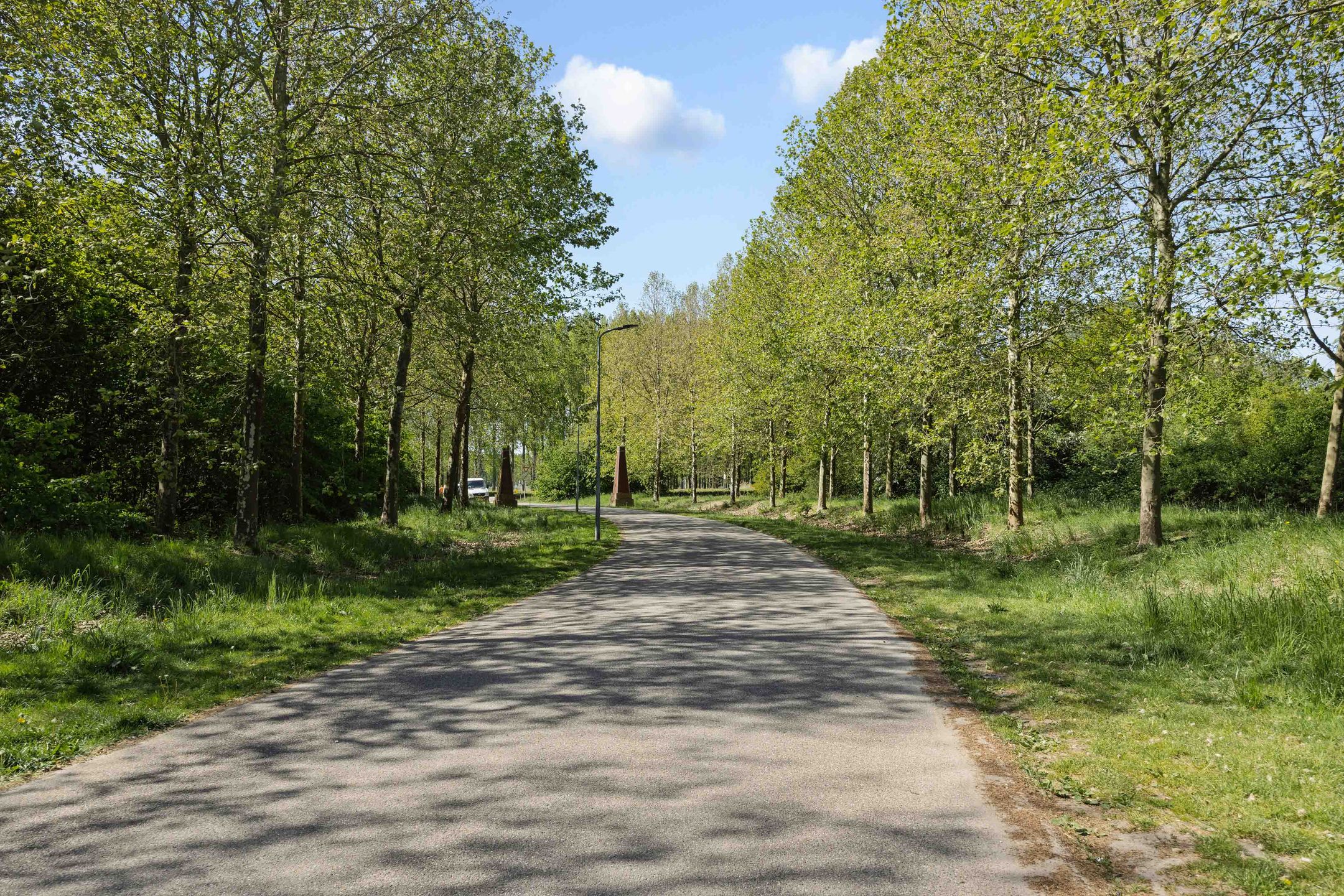 Foto 45 van Daliënwaerd 39