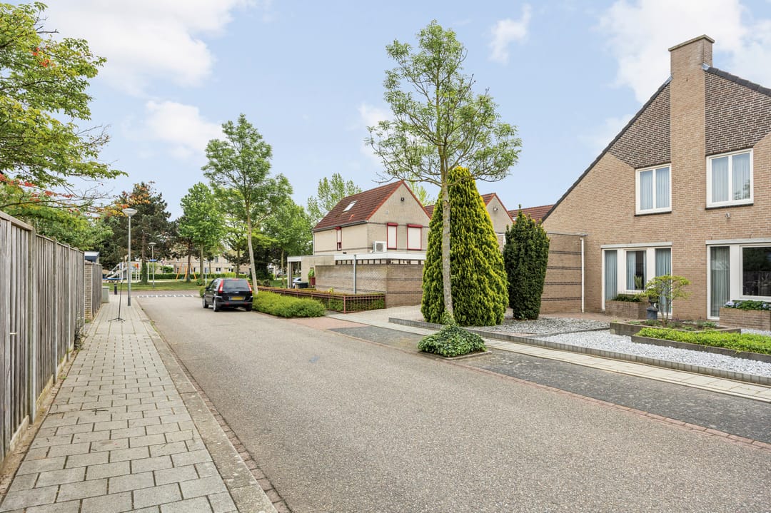 Foto 41 van Plaam 28