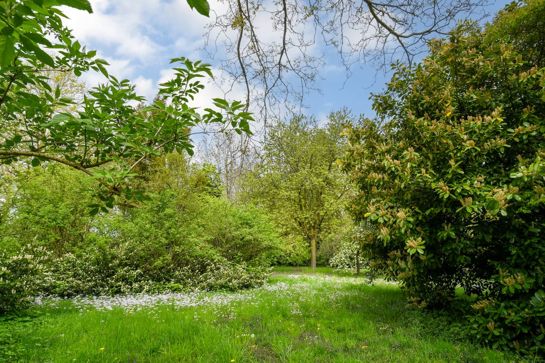 Foto 47 van Aan het Broek 4