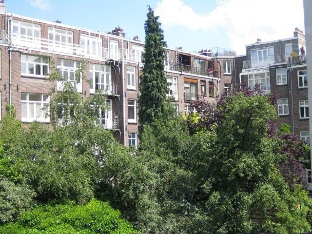 Foto 23 van Ruysdaelstraat 42-H