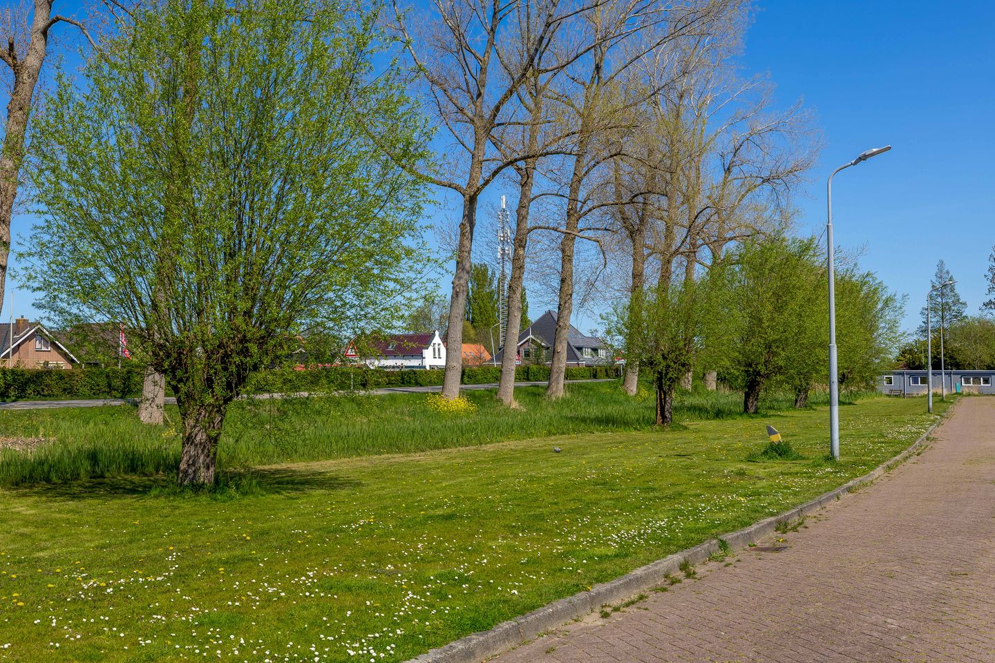 Photo 40 of De Schoolmeesterstraat 2