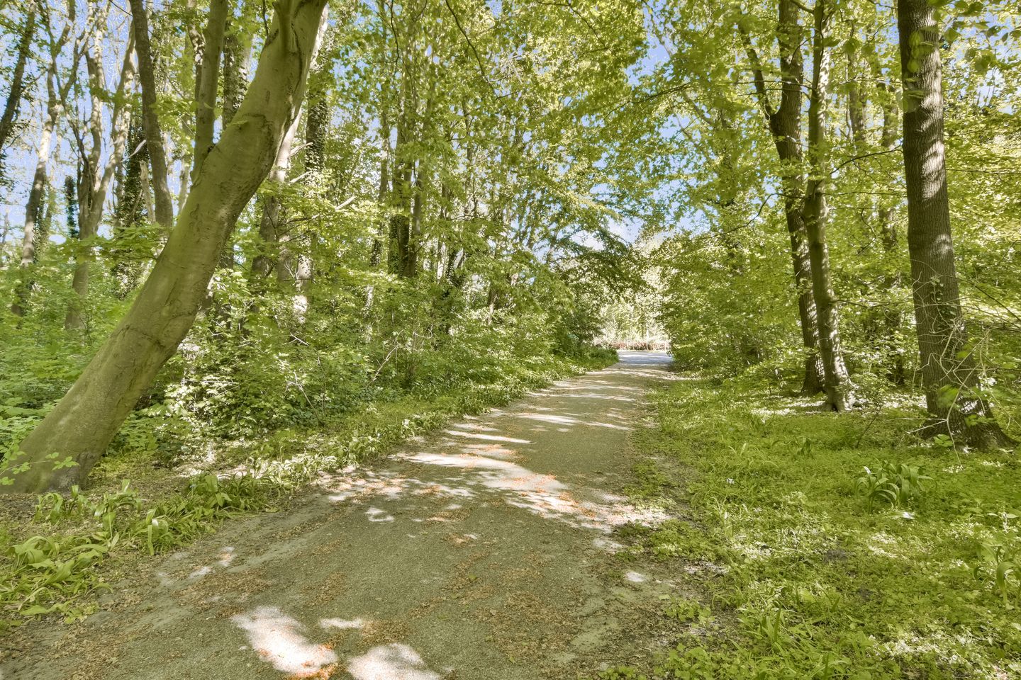 Photo 35 of Geerdinkhof 166