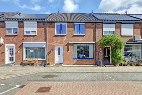 Treubstraat thumbnail