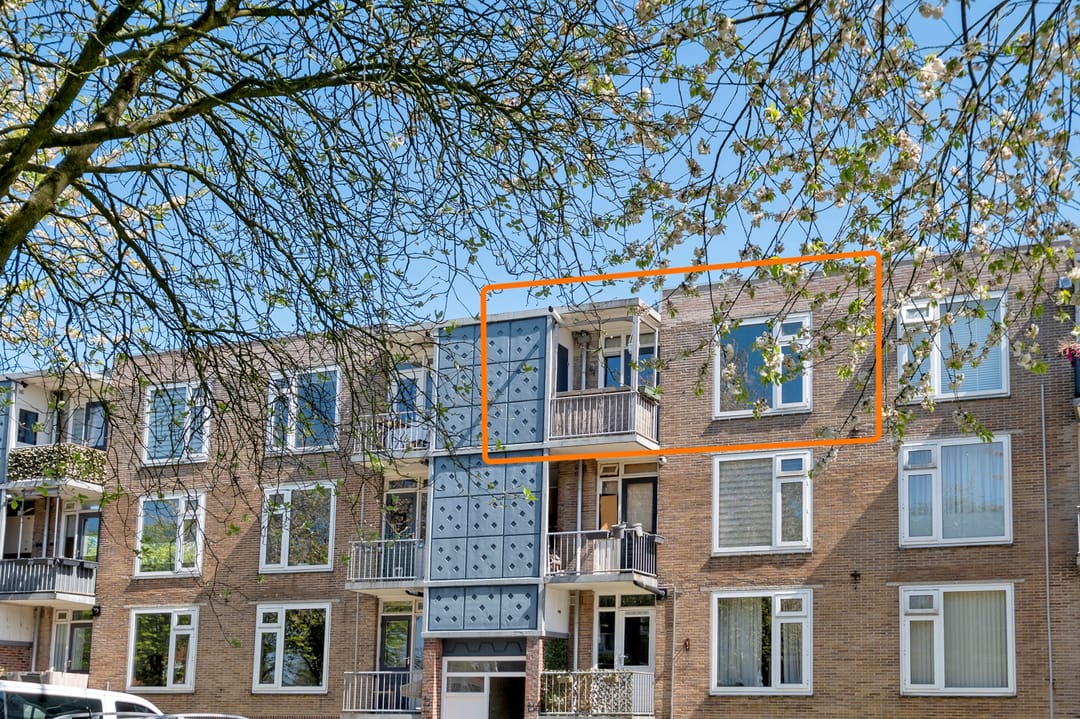 Foto 46 van Gerard Doustraat 53