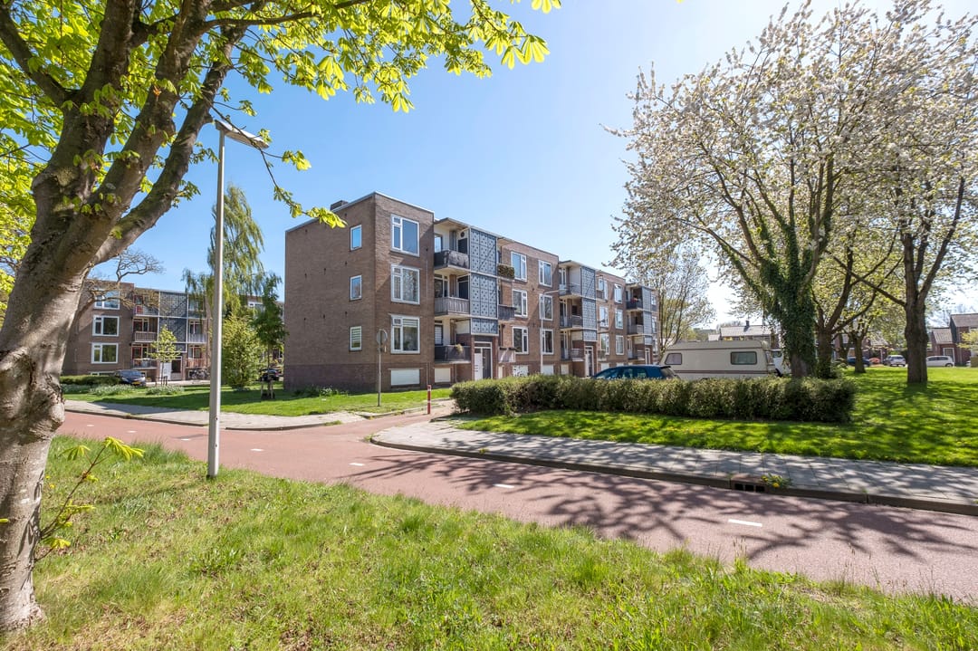 Foto 47 van Gerard Doustraat 53