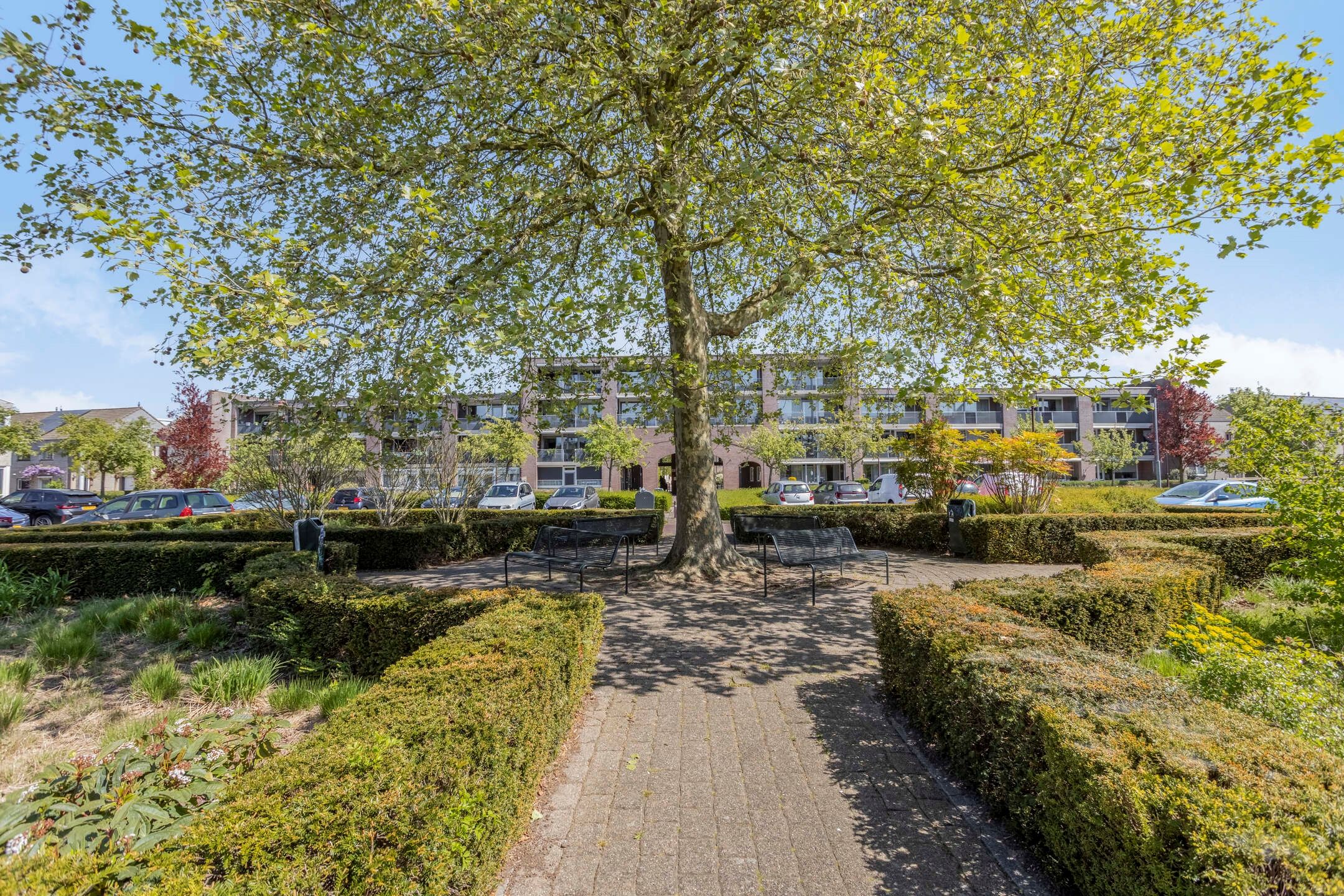 Photo 39 of de Schans 13