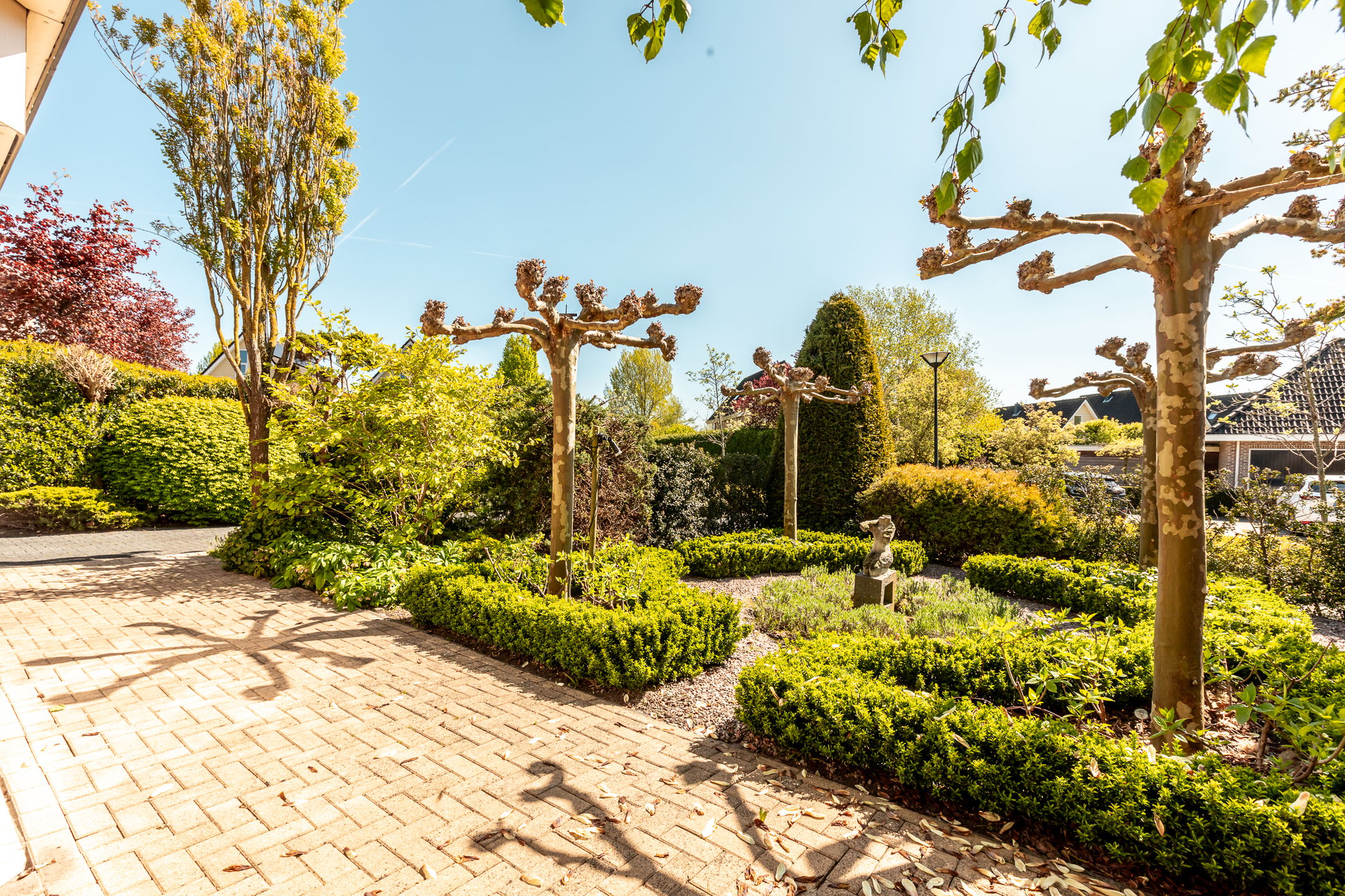 Photo 36 of Borggraaf 33