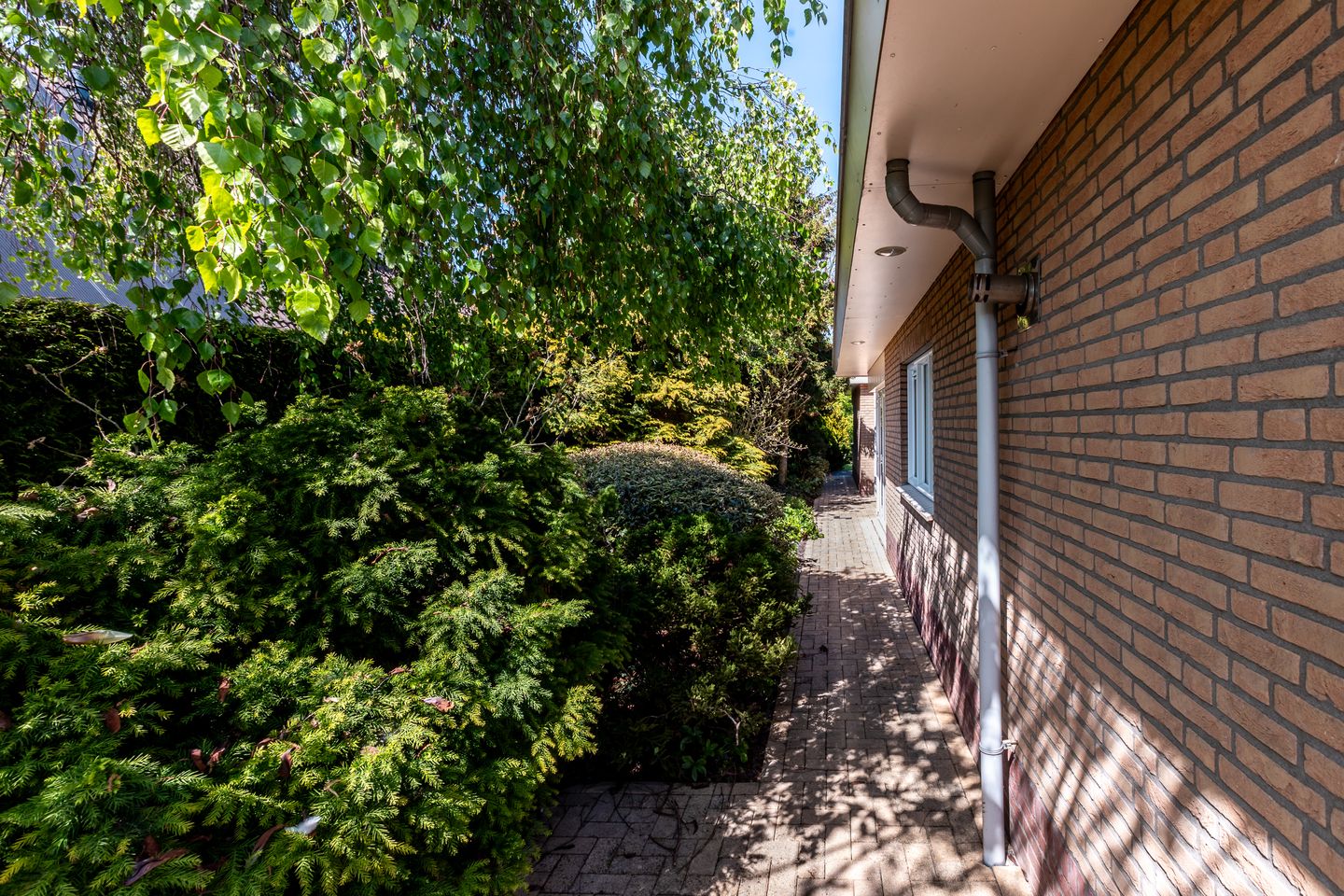 Photo 40 of Borggraaf 33