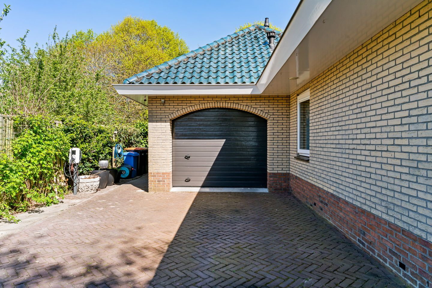 Foto 50 van Houtduif 1