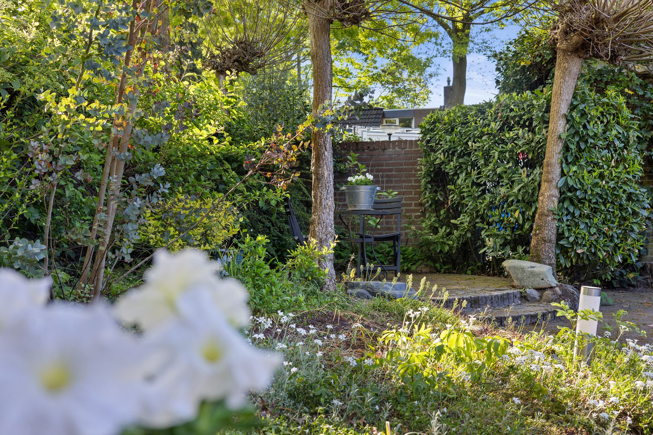 Photo 36 of Sluiskeshoeven 21