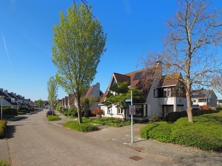Foto 2 van Iepenzoom 2