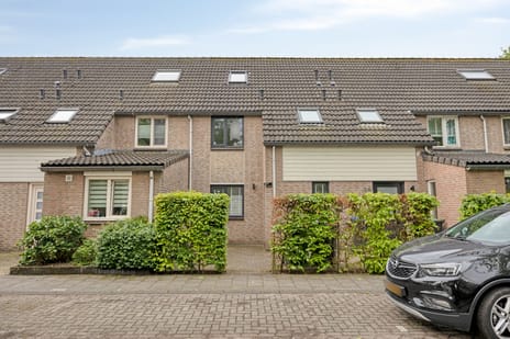 Geervlietsingel thumbnail