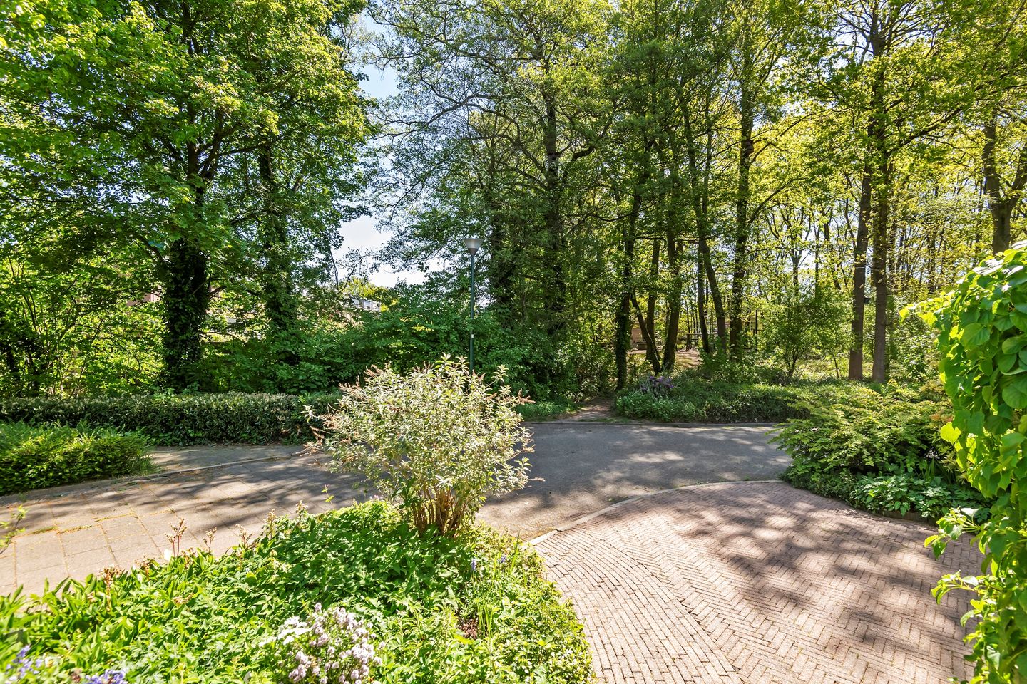 Foto 4 van Patrijspoort 8