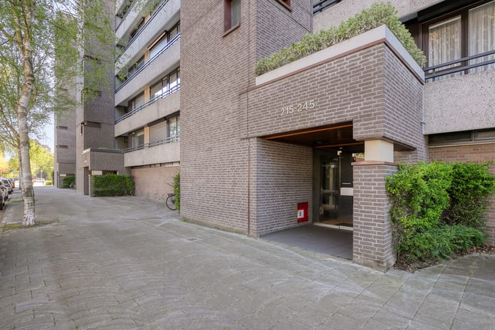 Foto 4 van Amundsenlaan 243