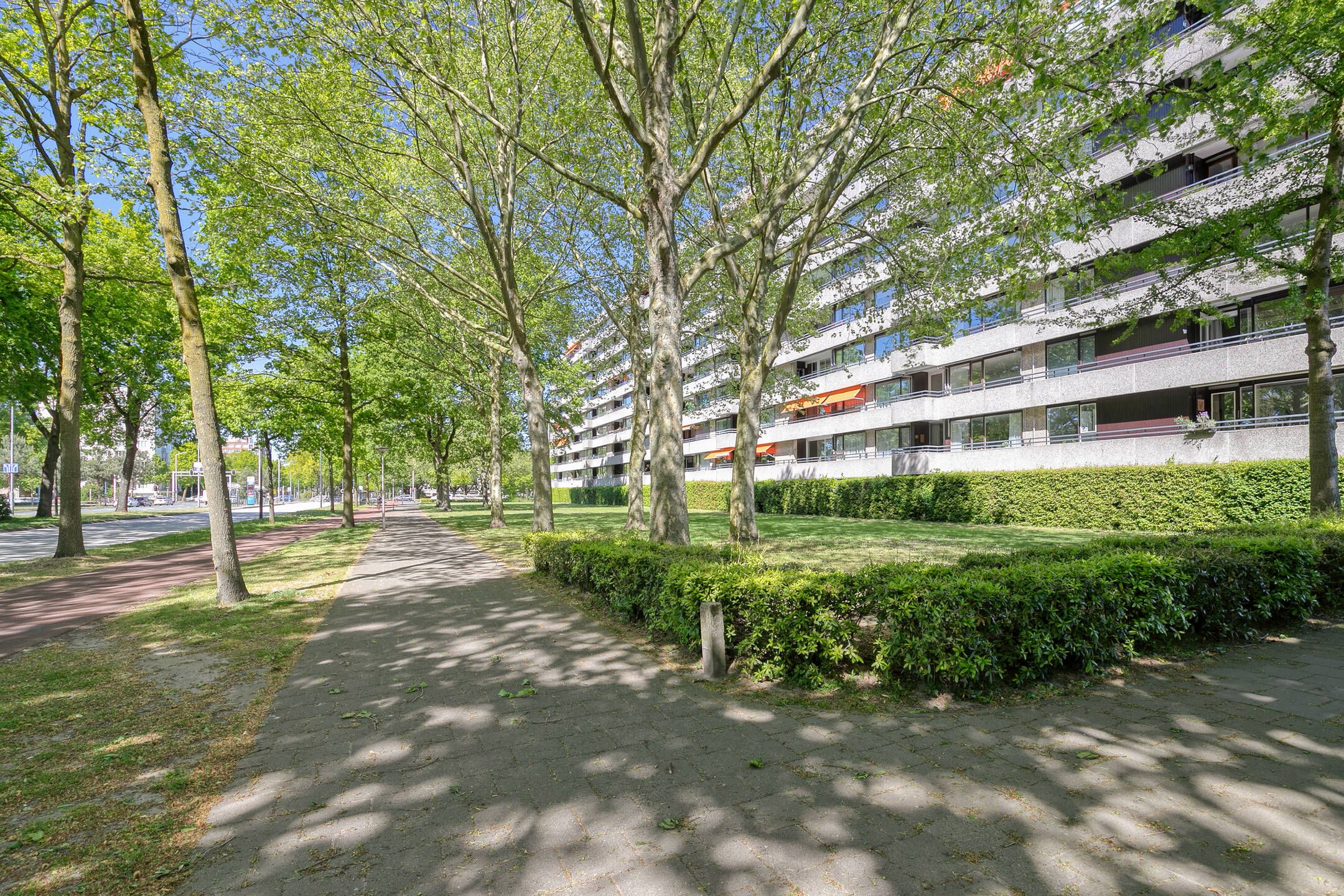 Amundsenlaan 243 