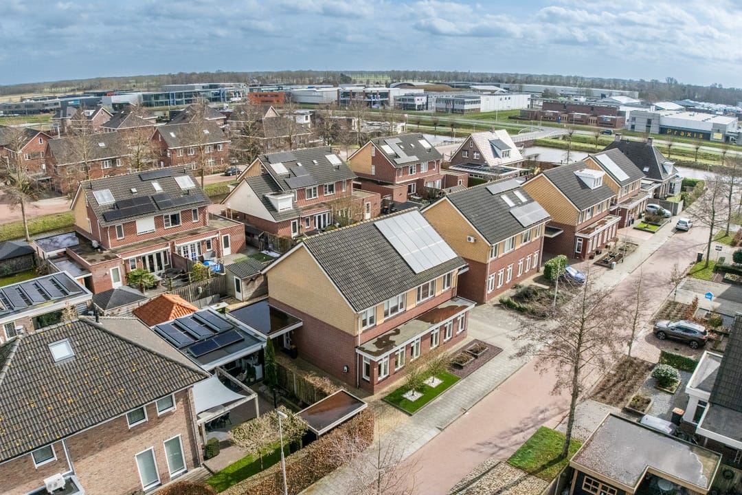 Foto 2 van Hondsdraf 1