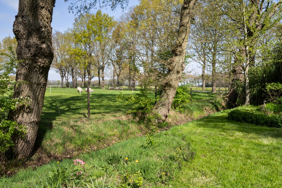 Photo 46 of Oranjekanaal N.Z. 8