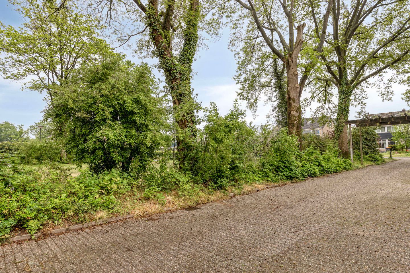 Foto 44 van Bargerstegge 8