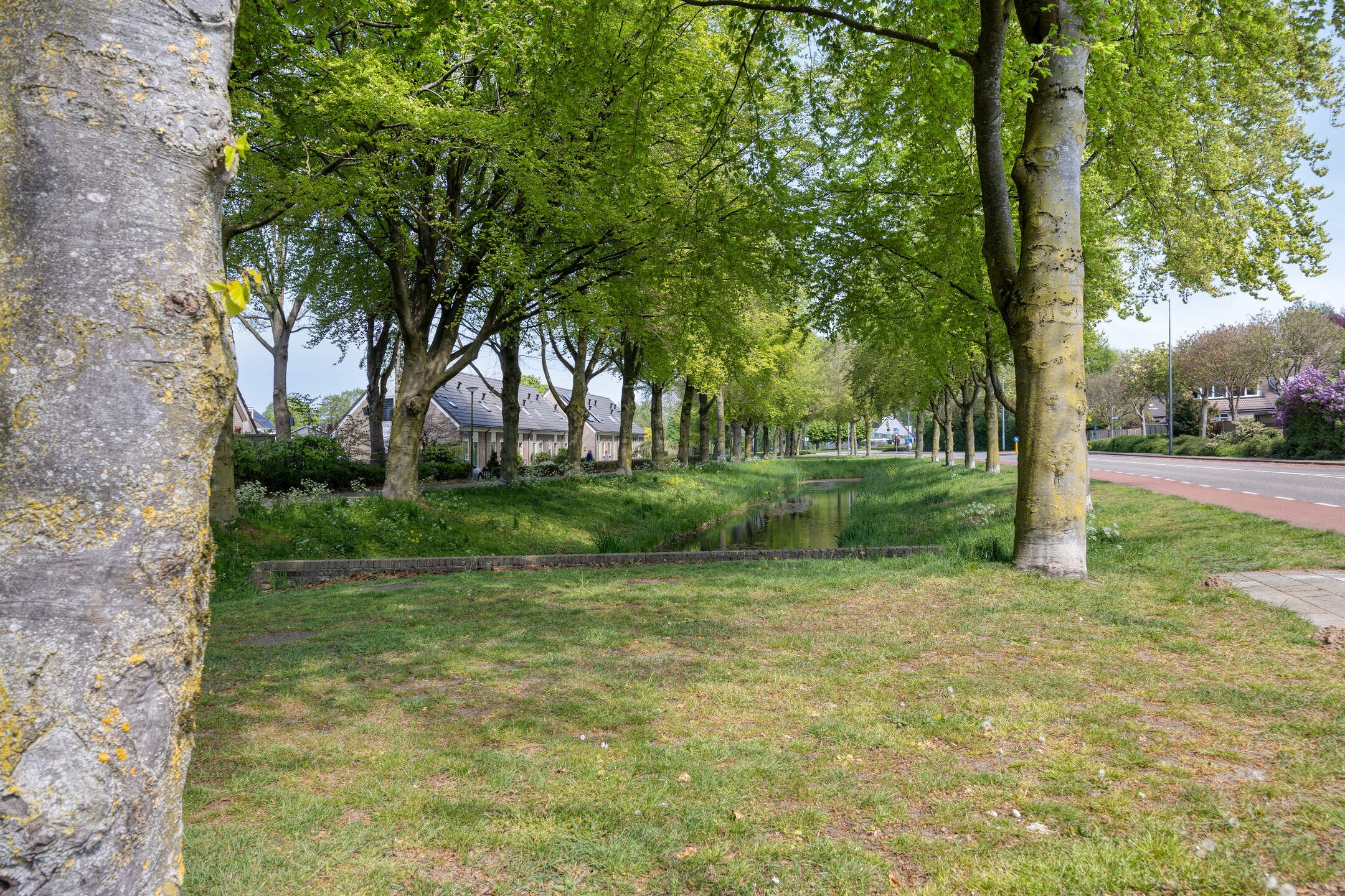 Photo 21 of Appelaar 46