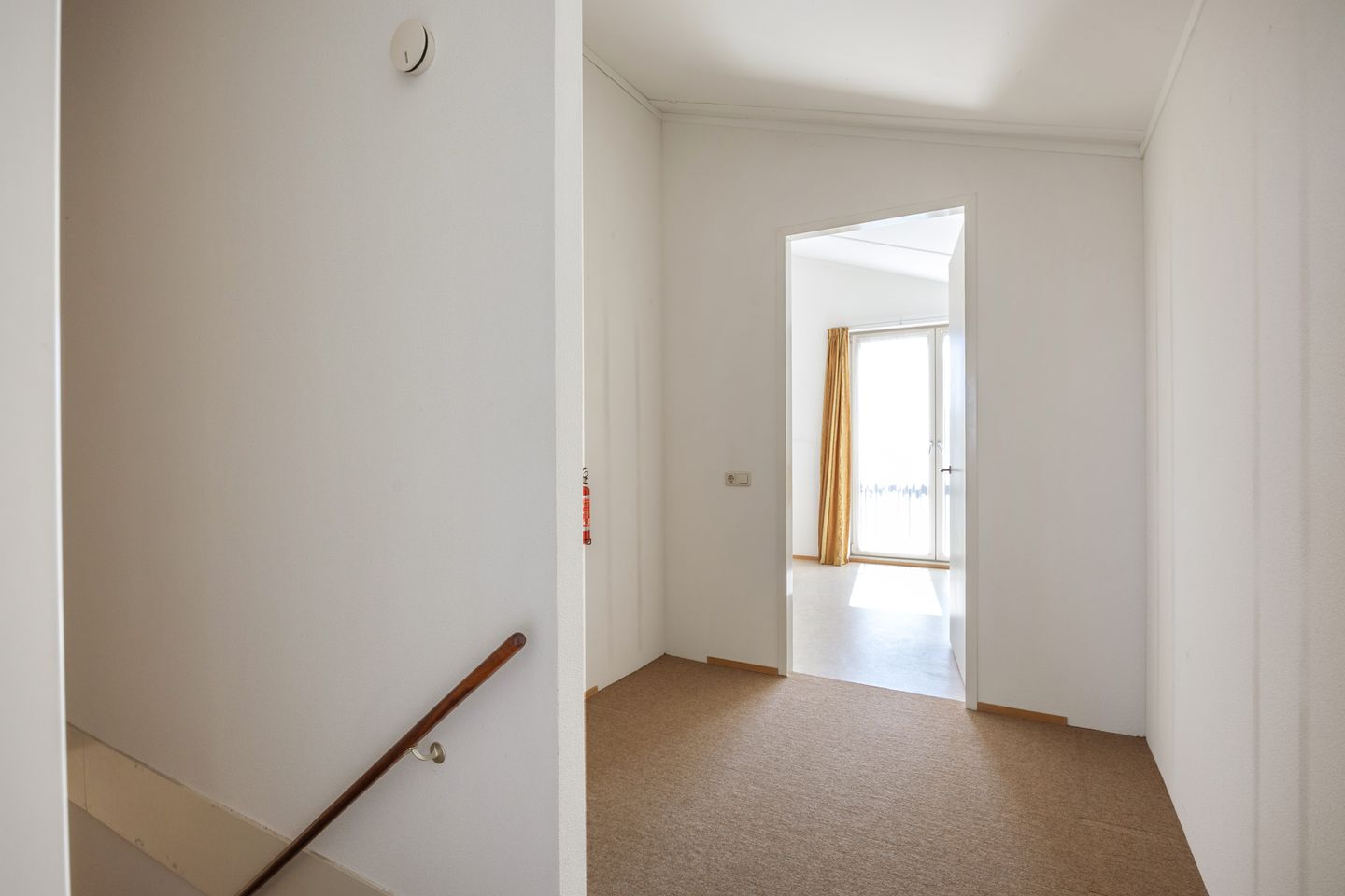 Foto 40 van Bosbes 16