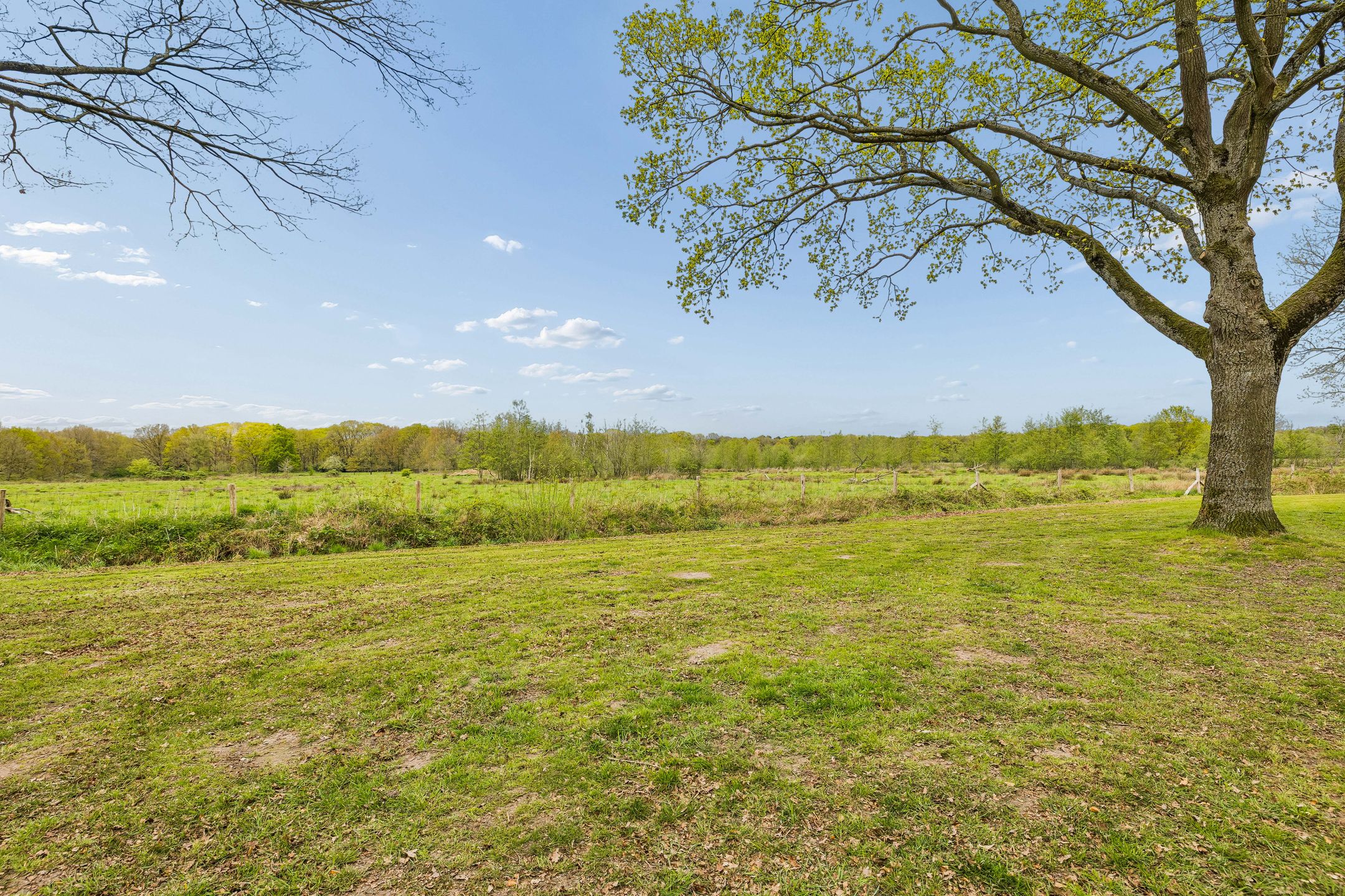 Spacious Corner Home with Panoramic Nature Views in De Blaak — 51
