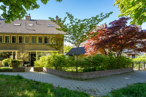 Burgemeester Suijsstraat thumbnail