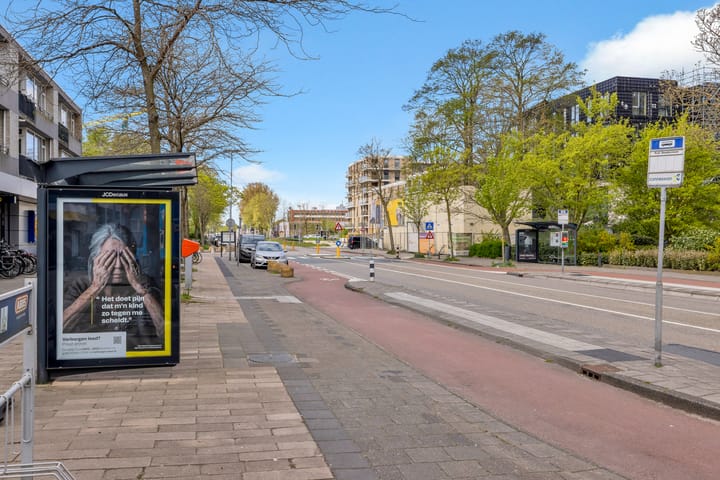 Foto 4 van William Harveystraat 38