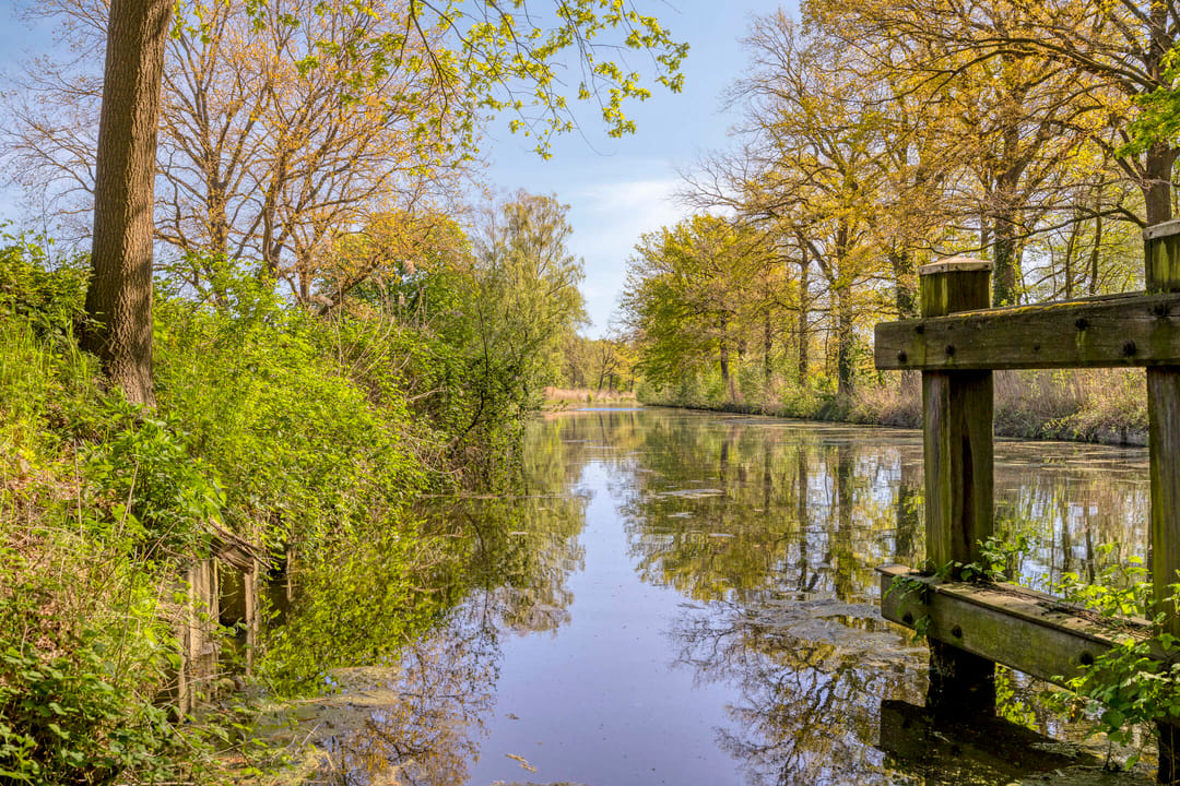 Photo 77 of Ganzewinkel 5