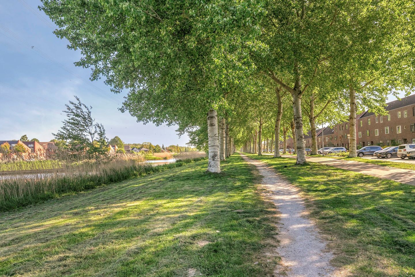Photo 35 of Kees Verweystraat 43