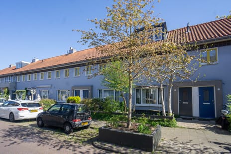 Korenbloemstraat thumbnail