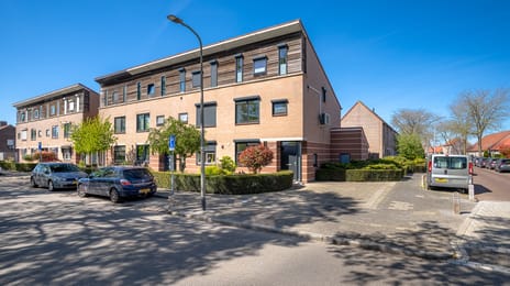 Hoornbladstraat thumbnail