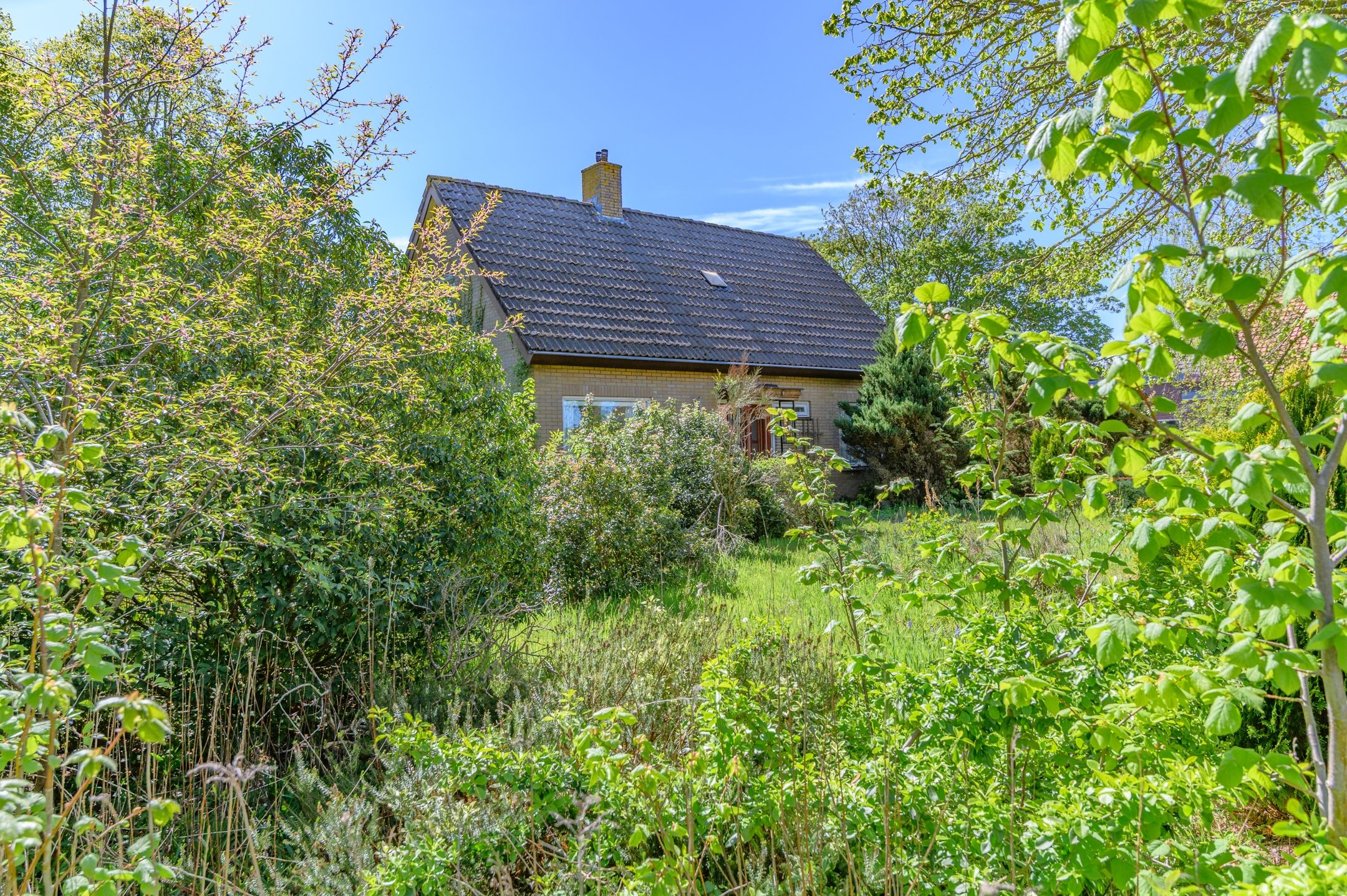 Photo 3 of Hoofdweg 33
